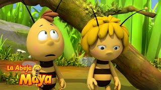 Maya Al Rescate 🚑🐝 - Capítulos completos - La Abeja Maya