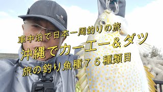 沖縄の釣り、名護テラス・カーエー＆ダツ「車中泊で日本一周釣りの旅」