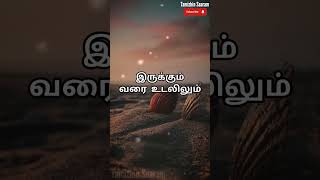 True quotes tamil | பாசமும் பணமும் நீண்ட நாள் நிலைக்காது 💯 | True words tamil