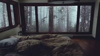 Som de Chuva para Dormir - Barulho de Chuva Relaxante na Floresta Enevoada sem Trovões