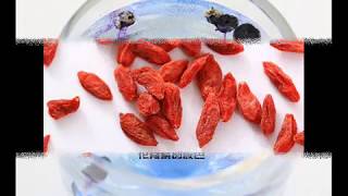 Goji Berry Food Wholesale Supplier   Berrygoji com