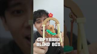 Capybara blind box unboxing!!