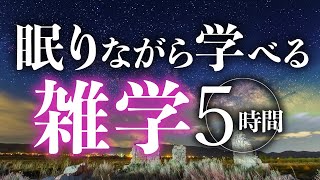 【睡眠導入】眠りながら学べる雑学5時間【合成音声】