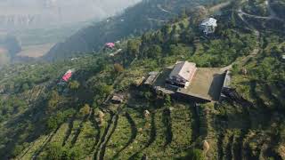 Saanda Valley Orchards (Kotgarh - Himachal Pradesh/India)