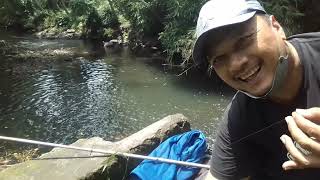 Spot berjuta wader....nonstop 16 menit #microfishing #mancingmania