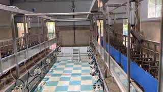 Milking system Farms Dairy Flexible goat milking parlor  High Productivity milking parlor equipment