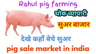 How to sale pig in india part 3 #Rahul pig farm 9711197046