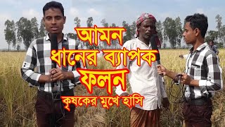 আমন ধানের ব্যাপক ফলন কৃষকের মুখে হাসি || Extensive Yield Of Aman Paddy || হাজেরা ভিশন