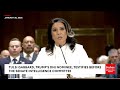 tulsi gabbard asked will intel officers behind hunter biden laptop letter lose security clearance