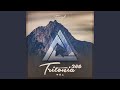 Midnight (Tritonia 386)