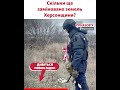 «Деякі землі розміновувати недоцільно» – очільник Херсонської області