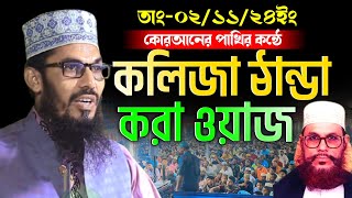 কোরআনের পাখির কন্ঠে কলিজা ঠান্ডা করা ওয়াজ | শাহাদাত হোসেন বারী | shahadot Hossain Bari Bangla waz