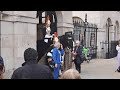 make way Grandma #horseguardsparade