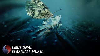 Calm Classical Music for Relaxation | Strings and Cello Music for Studying, Sleep and Meditation