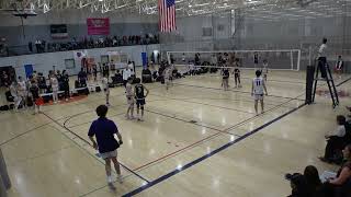 Adversity VBC 16 Adidas vs Adversity VBC 16 Purple