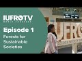 IUFRO TV Episode 1 -  Forests for Sustainable Societies