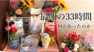 【猫の急死】最期の33時間で何があったのか。その時どのように対処したのか。正解が解りません。