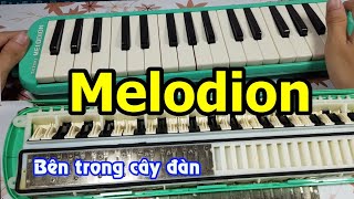 Khám phá bên trong cây đàn Melodion có nhiều điều thú vị