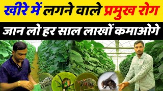 खीरा में लगने वाले रोग | khire ki kheti me rog | khira ki kheti ki sampurn jankari