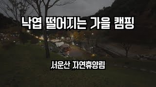 EP. 25 낙엽 떨어지는 가을 캠핑(서운산 자연 휴양림)