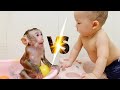 Monkey baby Pupu and Nguyen swim together to see who is better