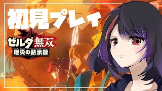 【 ゼルダ無双　厄災の黙示録 】初見プレイ～！【 Vtuber 】