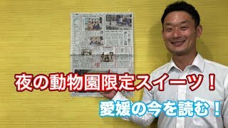 【愛媛県議会議員・中野たいせい】「夜の動物園限定スイーツ！」愛媛の今を読む！8月12日