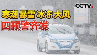 雪下到“发紫”！寒潮 暴雪 冰冻 大风四预警齐发 这些地方影响最大 |《中国新闻》CCTV中文国际