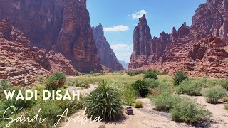 Wadi Disah - The most stunning wadi in Saudi Arabia - وادي الديسة