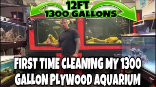 First Time Cleaning My 1300 Gallon Plywood Aquarium