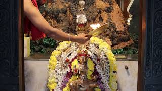 shree vadanabail padmavathi devi mahamangalarathi mulastana 05-12-2024