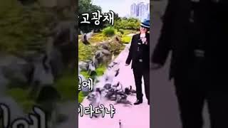 가수고광채[산너울\u0026원곡-신영]