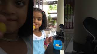 മാച്ചിംഗ് സ്നാക്ക്സ് ബോക്സ്‌#dailyvlogs#lkgkid#viralvideo #viraldailyvlog#schoollife#minivlog #kids