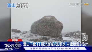 雪山下雪了! 東北季風+水氣足 主峰積雪2-5cm｜TVBS新聞@TVBSNEWS02