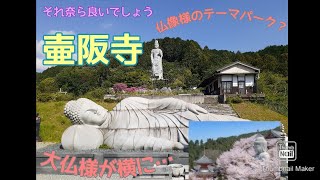 【それ奈ら良いでしょう2020001】壷阪寺　奈良県高取町