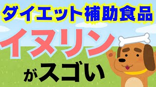 イヌリン が最強のダイエットサプリ であることを薬剤師が解説