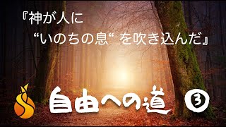 自由への道③：神が人に「いのちの息」を吹き込んだ