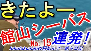 【絶好調】『きたよー。館山シーバス連発！』回想編⑮～fukufukuman の房総ルアー釣り日記　2015年4月6日のblogより