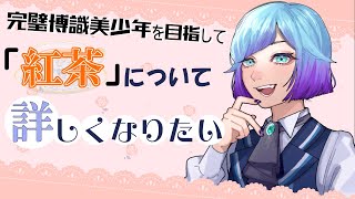 ギモンを解決して賢くなりたい美少年の配信「紅茶」編【個人Vtuber/ミヤビ・クラーク】