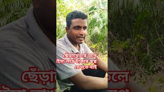 ছেঁড়াখেতার তলে বইসা লাখ টাকার স্বপ্ন দেখতে নাই #nature #natureflowers #automobile #nat