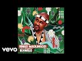 Ringo Madlingozi - NGOMA YAM (Official Audio)