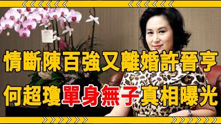 和許晉亨9年無愛婚姻，繼承賭王千億家產，隱瞞28年，59歲何超瓊單身無子真相曝光#何超瓊 #許晉亨 #大嘴娛記