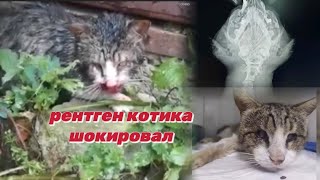 Ужас на рентгене. перезалила видео двух годовалой давности.