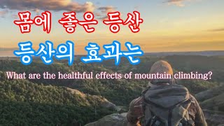 🍀인생건강글🍀몸에 좋고, 젊어지며 정신에 좋은 등산 효과는? | What are the healthful effects of mountain climbing?