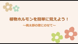 【高校生物】植物ホルモンの名前と働きを簡単に覚えよう！