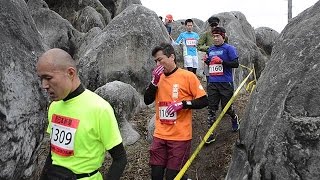 北九州に春告げる平尾台クロスカントリー　福岡