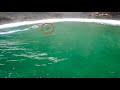 Surfing in Shark Infested Waters (Cape Town)