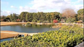 日本岡山県　後楽園　秋　紅葉的季節