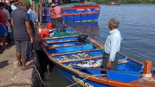 Vypin fish market