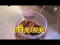 เหล้าดองผลไม้ เหล้าบ๊วย homemade fruit wine ep30